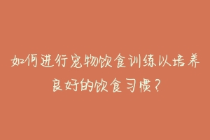 如何进行宠物饮食训练以培养良好的饮食习惯？