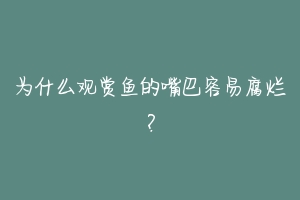 为什么观赏鱼的嘴巴容易腐烂？