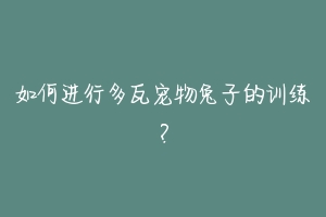 如何进行多瓦宠物兔子的训练？