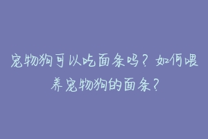 宠物狗可以吃面条吗？如何喂养宠物狗的面条？