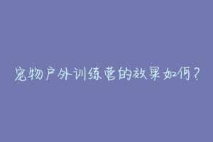 宠物户外训练营的效果如何？