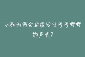 小狗为何会持续发出哼哼唧唧的声音？