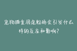 宠物猫食用淀粉肠会引发什么样的反应和影响？