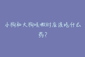 小狗和大狗咳嗽时应该吃什么药？