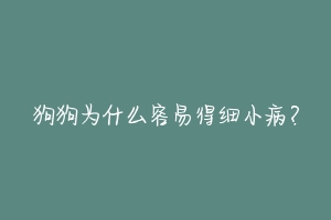 狗狗为什么容易得细小病？