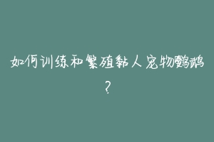 如何训练和繁殖黏人宠物鹦鹉？