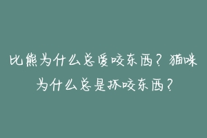 比熊为什么总爱咬东西？猫咪为什么总是抓咬东西？