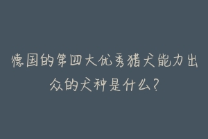 德国的第四大优秀猎犬能力出众的犬种是什么？