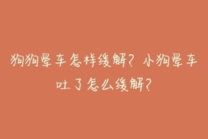 狗狗晕车怎样缓解？小狗晕车吐了怎么缓解？