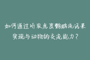 如何通过听农虎皮鹦鹉说话来实现与动物的交流能力？