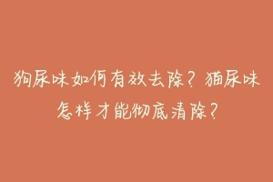 狗尿味如何有效去除？猫尿味怎样才能彻底清除？