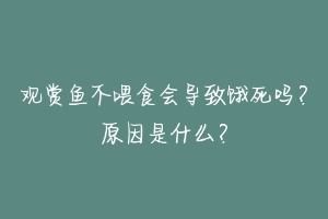 观赏鱼不喂食会导致饿死吗？原因是什么？