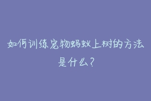 如何训练宠物蚂蚁上树的方法是什么？