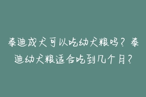 泰迪成犬可以吃幼犬粮吗？泰迪幼犬粮适合吃到几个月？