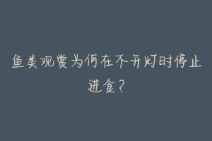 鱼类观赏为何在不开灯时停止进食？