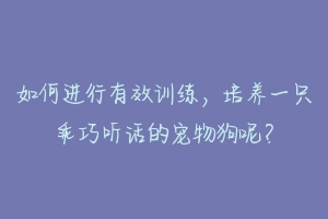 如何进行有效训练，培养一只乖巧听话的宠物狗呢？