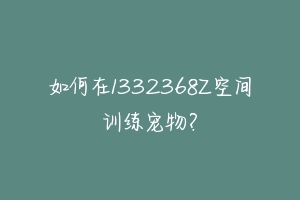 如何在1332368Z空间训练宠物？