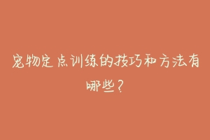 宠物定点训练的技巧和方法有哪些？