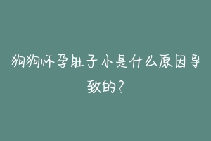 狗狗怀孕肚子小是什么原因导致的？