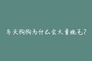 冬天狗狗为什么会大量脱毛？