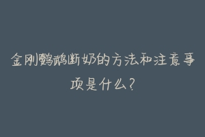 金刚鹦鹉断奶的方法和注意事项是什么？