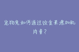 宠物兔如何通过饮食来增加肌肉量？