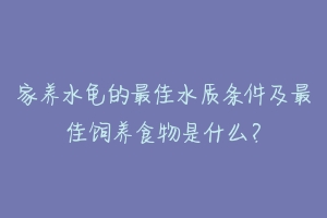 家养水龟的最佳水质条件及最佳饲养食物是什么？