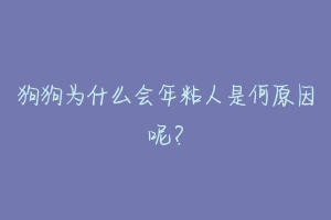 狗狗为什么会年粘人是何原因呢？