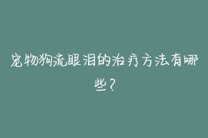 宠物狗流眼泪的治疗方法有哪些？