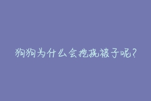 狗狗为什么会挖挠被子呢？