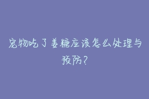 宠物吃了姜糖应该怎么处理与预防？