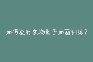 如何进行宠物兔子如厕训练？