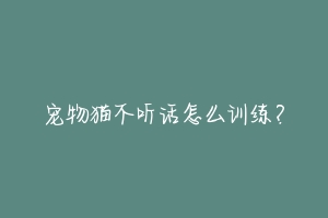 宠物猫不听话怎么训练？