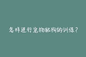 怎样进行宠物貂狗的训练？