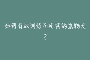 如何有效训练不听话的宠物犬？