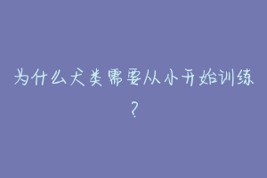 为什么犬类需要从小开始训练？