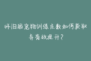 怀旧服宠物训练点数如何获取并有效提升？