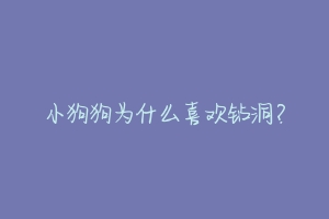 小狗狗为什么喜欢钻洞？