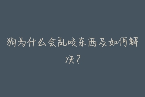 狗为什么会乱咬东西及如何解决？