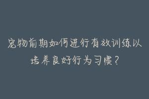 宠物前期如何进行有效训练以培养良好行为习惯？