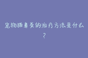 宠物猫鼻炎的治疗方法是什么？