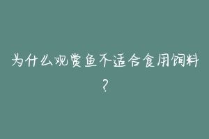 为什么观赏鱼不适合食用饲料？