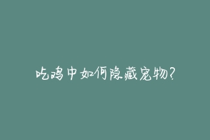 吃鸡中如何隐藏宠物？