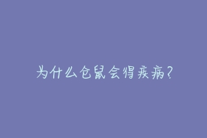 为什么仓鼠会得疾病？