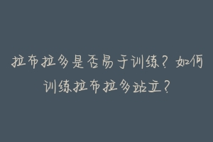 拉布拉多是否易于训练？如何训练拉布拉多站立？