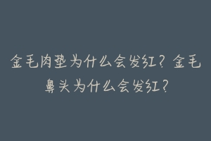 金毛肉垫为什么会发红？金毛鼻头为什么会发红？