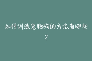 如何训练宠物狗的方法有哪些？