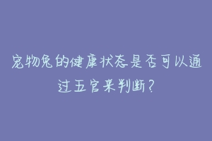 宠物兔的健康状态是否可以通过五官来判断？