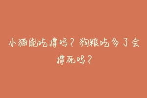 小猫能吃撑吗？狗粮吃多了会撑死吗？