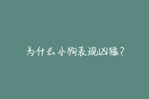 为什么小狗表现凶猛？